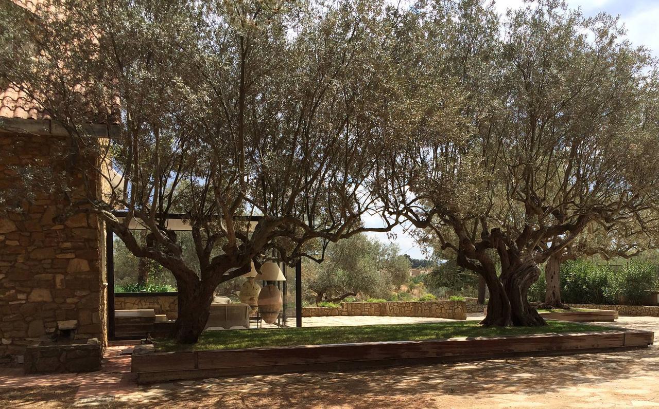 B&B La Collegiata Caltagirone Buitenkant foto